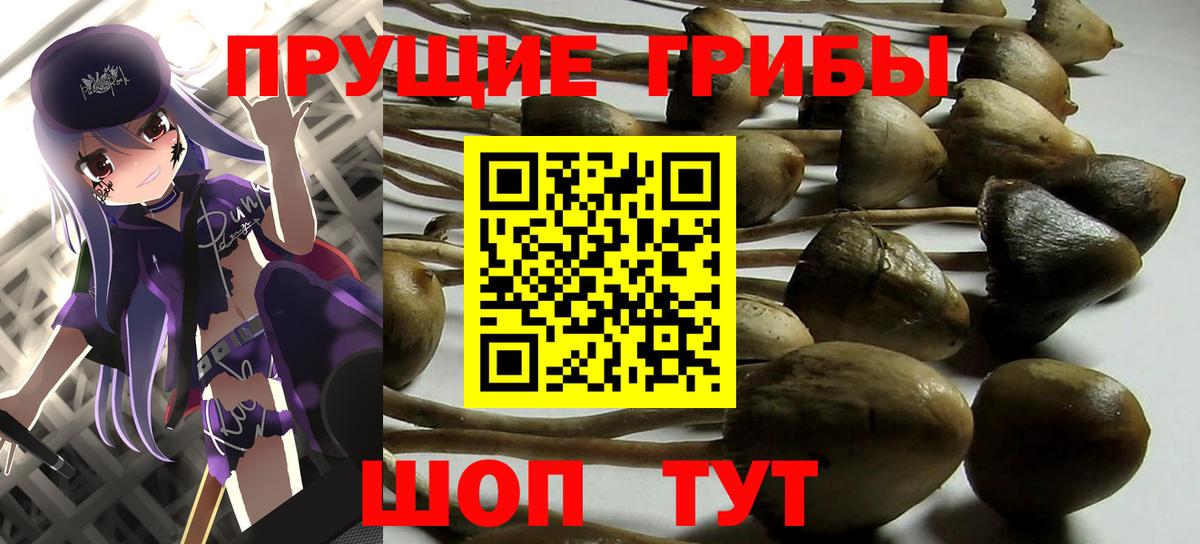 Псилоцибиновые грибы Magic Shrooms  Галлюциногенные грибы Psilocybe  купить наркоту  Нижнекамск  Вход с VPN 